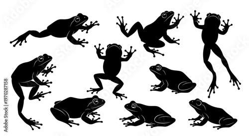 Collection of Black Frog Silhouettes in Various Poses.