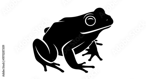 Black Silhouette of a Frog with Big Eyes.