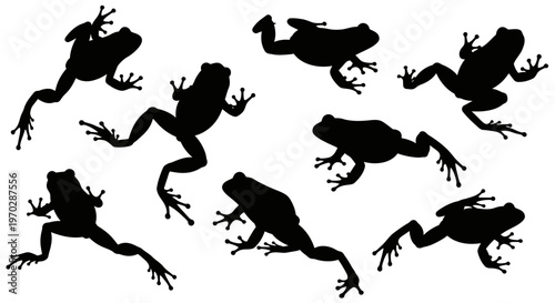 Collection of Silhouettes of Frogs in Various Poses.