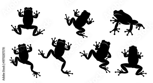 Collection of Silhouettes of Frogs in Various Poses.