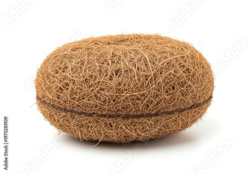 Close-up studio shot of a natural, oval-shaped coir fiber coconut husk hanging planter base, isolated on white background.