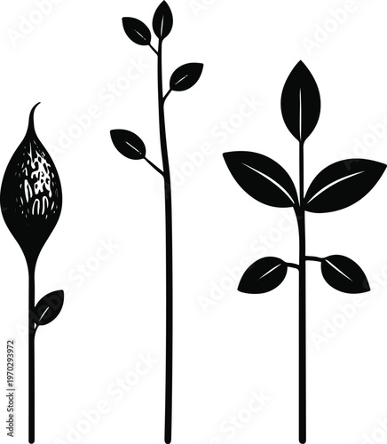 : Crop growth stages filled icons, seed, sprout, plant, solid black silhouettes, clean simple shapes 1
