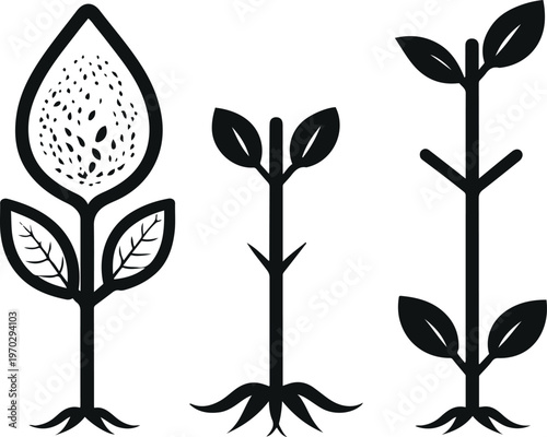 Crop growth stages filled icons, seed, sprout, plant, solid black silhouettes, clean simple shapes 3