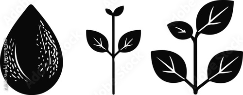 Crop growth stages filled icons, seed, sprout, plant, solid black silhouettes, clean simple shapes