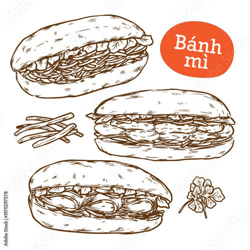 Hand drawn various Vietnamese sandwich Banh mi outline drawing vector illustration