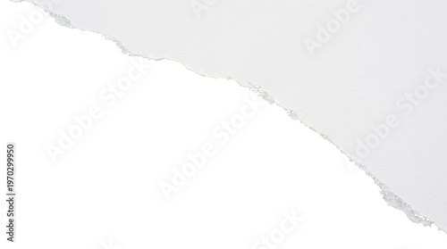 Torn Paper: A fragment of white paper with a jagged edge, ready to convey messages or a symbolic emptiness.