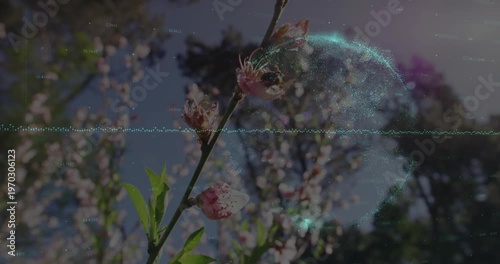 Flower branch staying sharp while cyan wave starting turquoise orb growing, visualizing audio tech