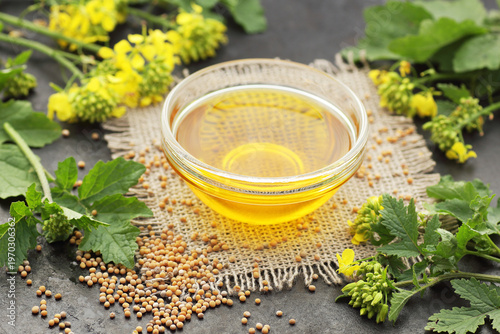Mustard oil with seeds and fresh flowers and leaves on black rustic background, closeup, copy space, cooking ingredient, diet product, healthy organic food concept