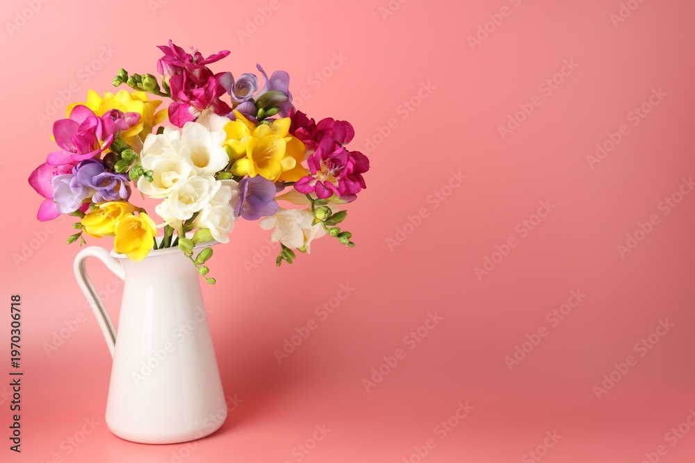Fototapeta premium Beautiful freesia flowers in vase on pink background, space for text