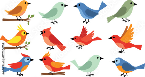 Colorful Birds Collection with Various Species, Cute Bird Illustrations on Branches for Nature, Wildlife, and Animal Designs