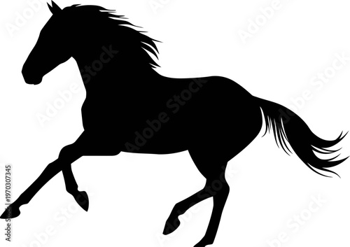 horse silhouette vector
