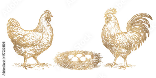 Golden rooster, hen and eggs set in vintage engraving style. Hand drawn farm poultry illustration for organic food packaging, luxury branding, labels and rustic farmhouse design