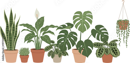 Beautiful Collection of Diverse Potted Houseplants in Terracotta Pots Vector Illustration