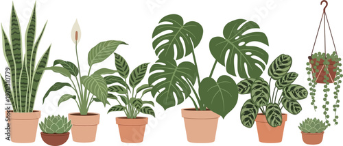 Beautiful Collection of Potted Houseplants Vector Illustration on a Light Background