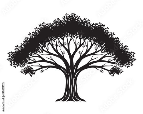 Detailed tree silhouette with spreading branches and dense foliage, black oak or acacia tree icon, nature and ecology concept vector isolated on white.