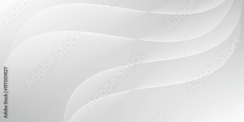 abstract white background wave gradient shape luxury wallpaper