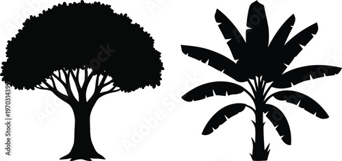 Two different tree silhouettes isolated on transparent background