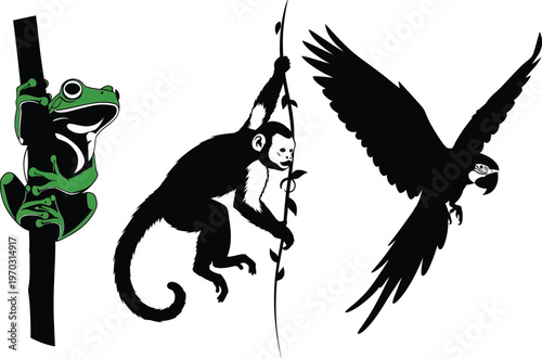 Tree frog monkey and parrot silhouettes tropical rainforest wildlife set