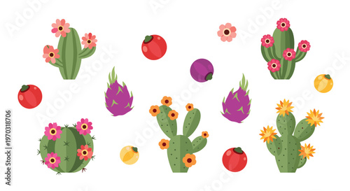 Multiple flowering cacti, red berries, purple dragon fruits, and yellow fruits are scattered across a white background in a flat illustration.