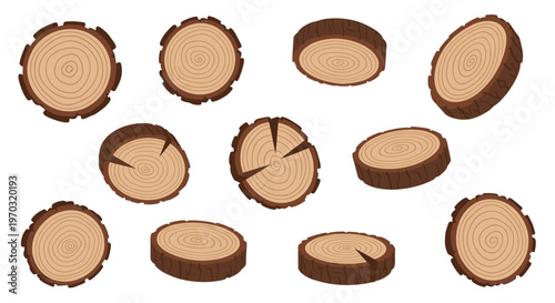 Ten light brown wood log slices, some tilted to show bark edges, are scattered across a white background.
