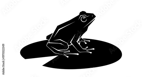 Silhouette of a Frog Sitting on a Lily Pad.