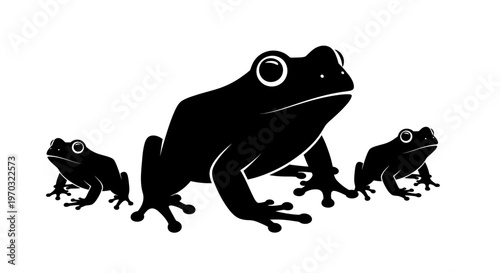 Silhouette of a large frog with two smaller frogs in a studio setting.