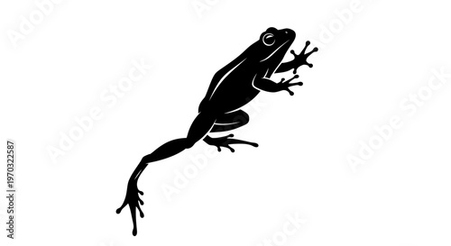 Silhouette of a frog climbing on a white background.