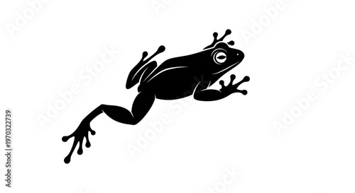 Silhouette of a Frog in Mid-Leap.