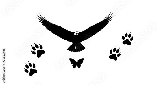 Silhouette of an eagle in flight with paw prints and a butterfly.