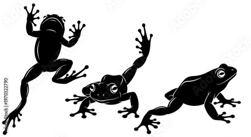 Silhouette of Three Frogs in Dynamic Poses.