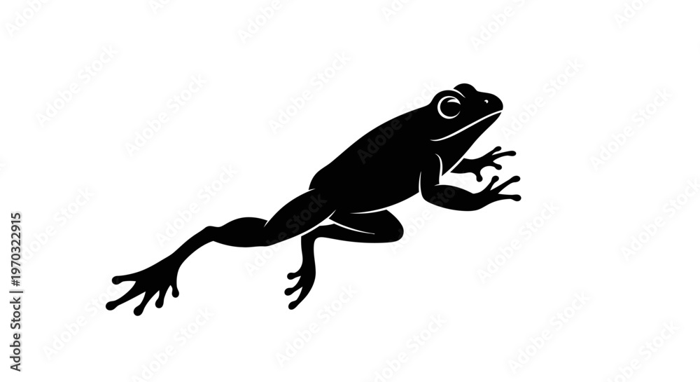 Fototapeta premium Silhouette of a Frog in Motion.