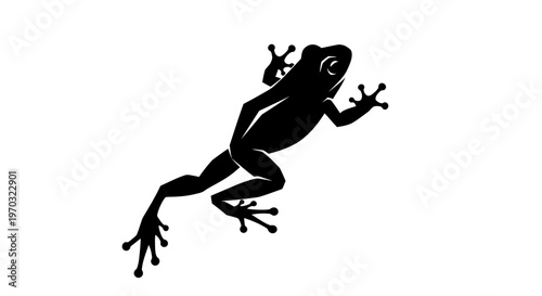 Silhouette of a Frog in Motion.