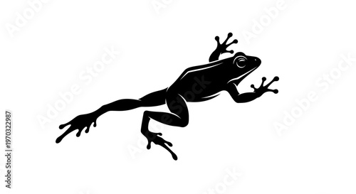Silhouette of a Frog in Motion on a White Background.