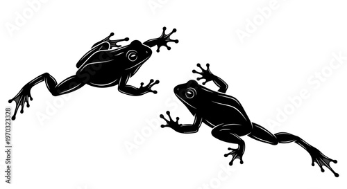 Two Black Frogs Silhouettes Climbing on White Background.