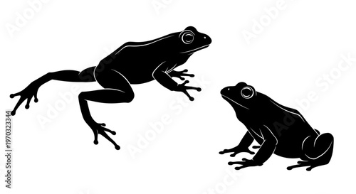 Two Black Frogs Silhouettes on White Background.