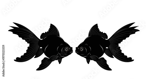 Two Black Oranda Goldfish Facing Each Other Silhouette.