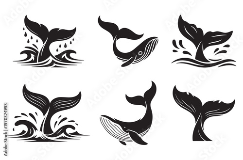 Vector illustration of whale tails splashing in ocean waves and majestic whales swimming gracefully through blue water, representing marine life and ocean exploration, great for nautical themes.