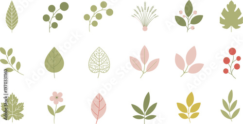 Colorful vector illustration of botanical elements symbolizing nature, diversity, and decorative design