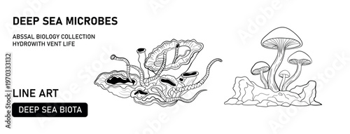 Deep sea microbes abyssal biology collection: line art of hydrovent life and seabed fungi.