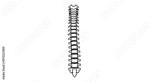 Whisk_4685564ebb7fc6ebf90494d86a0ba0d6dr_traced