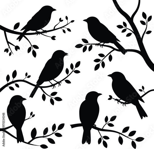 Silhouette illustration of six birds perched on leafy branches, symbolizing nature, wildlife, simplicity, decorative art, and minimalistic design for creative projects.