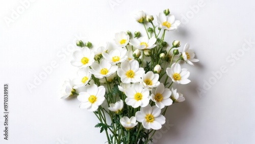 White anemone bouquet with yellow centers on white background.