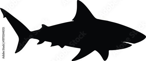 Shark Silhouette Icon Isolated on White Background Vector Illustration