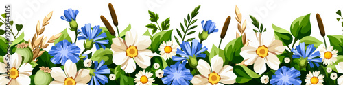 Horizontal seamless border with white and blue flowers and green grasses and herbs. Vector floral background with wild flowers