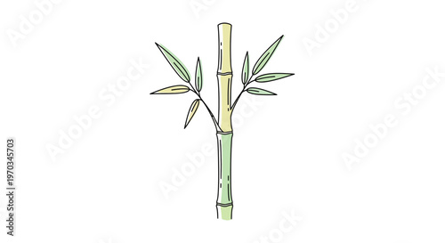 Bamboo plant with green stems leaves.