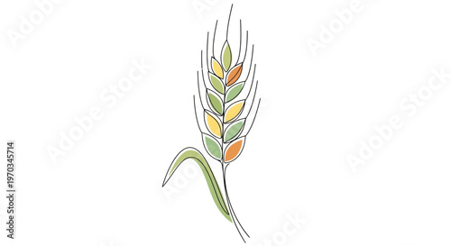 Colorful illustration of a wheat ear.