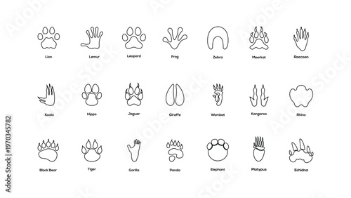 Animal Footprints Tracks Outline Icons Set Wildlife Paw Bird Hoof Print Silhouette Vector Collection