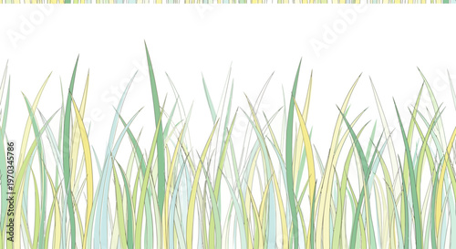 Green grass blades in sunlight.