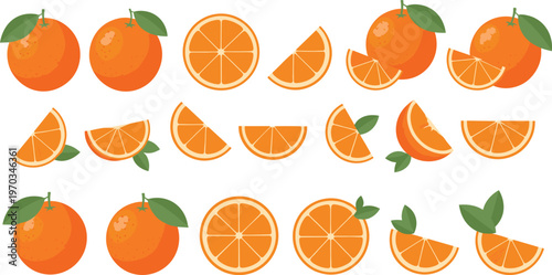 Orange fruit vector set. Collection of whole oranges, slices and wedge segments with leaves arranged in rows. Bright flat citrus illustration for food design and packaging.