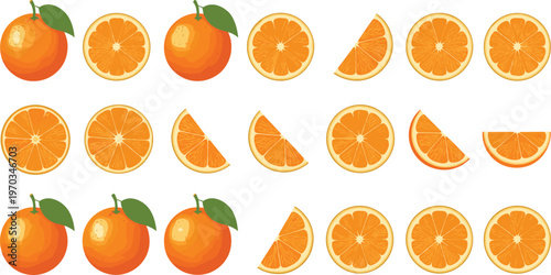Orange fruit vector set. Collection of whole oranges, round slices and wedge segments in rows. Bright flat citrus illustrations for food design, packaging and healthy lifestyle themes.